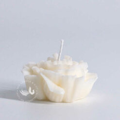 Nến Thơm Tạo Hình Hoa Cẩm Chướng Cao Cấp