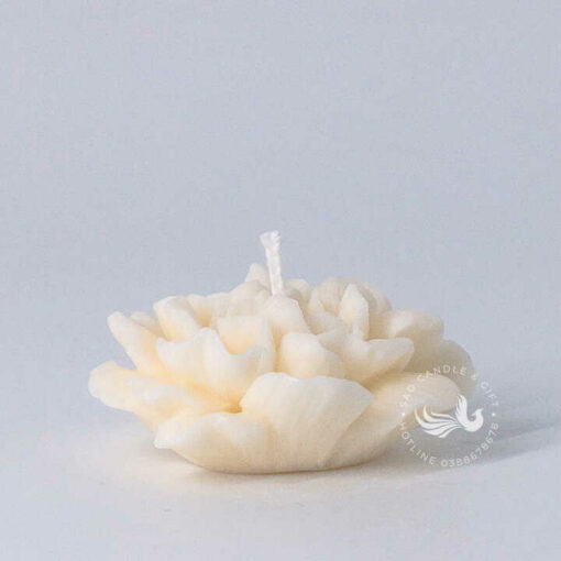 Nến Thơm Tạo Hình Hoa Cẩm Chướng Đơn Handmade