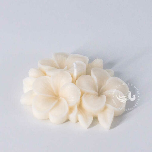 Nến Thơm Tạo Hình Chùm Hoa Sứ Handmade